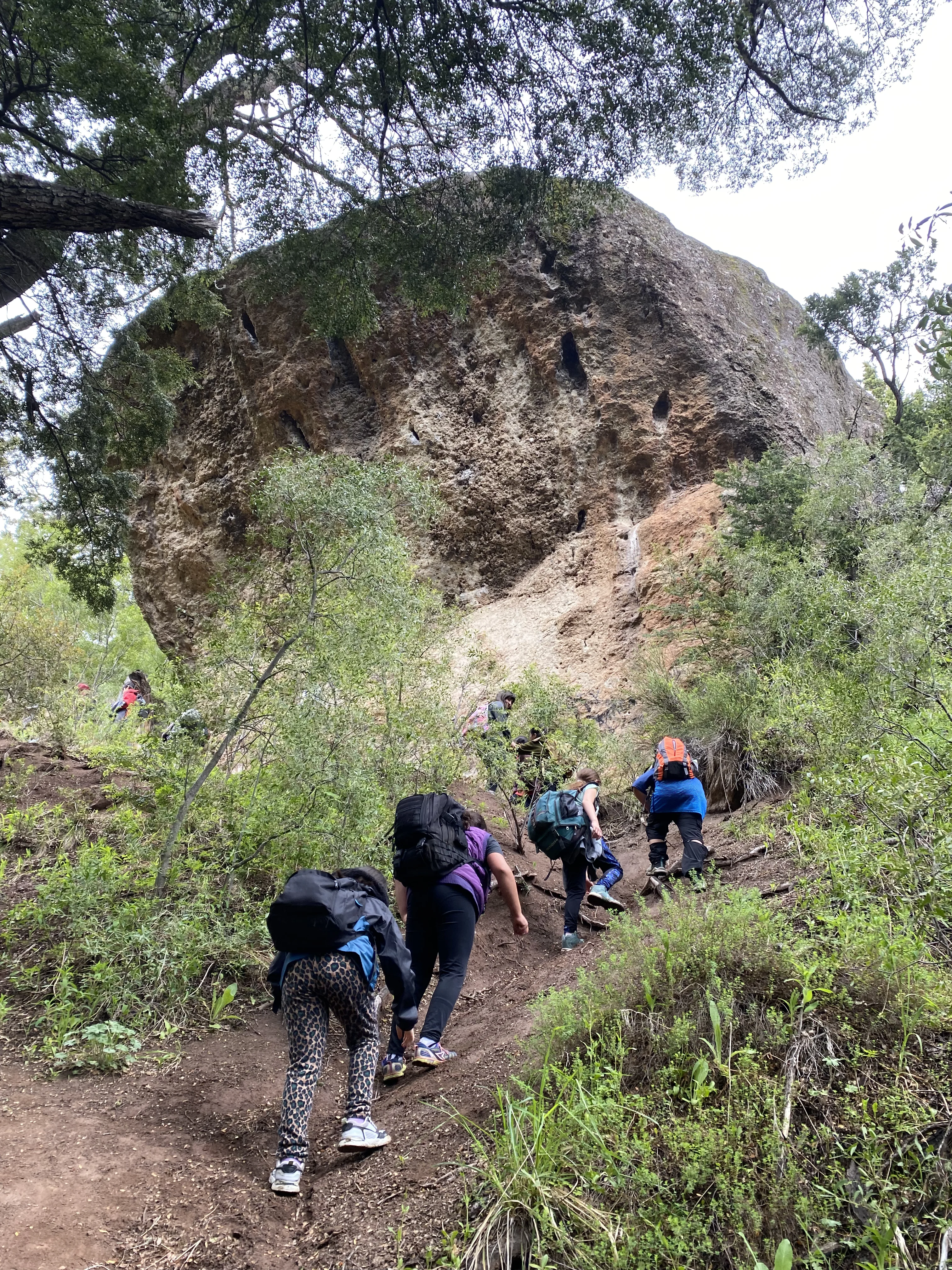 Sendero del Bosque