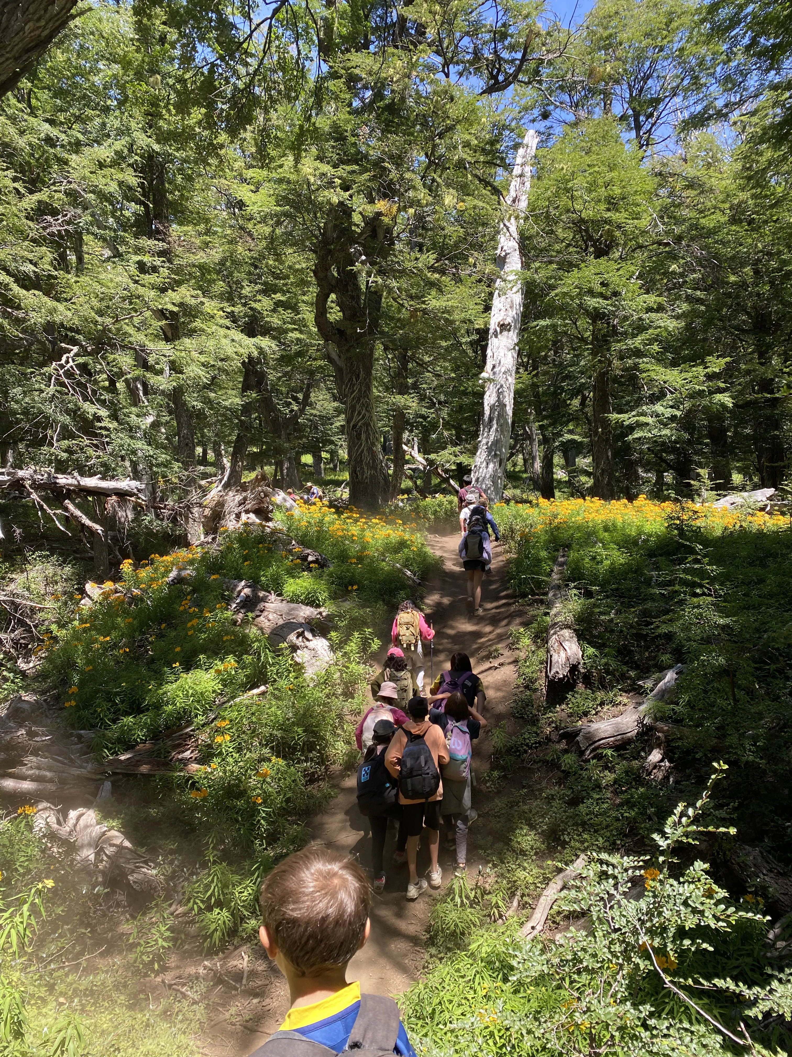Trekking en montaña