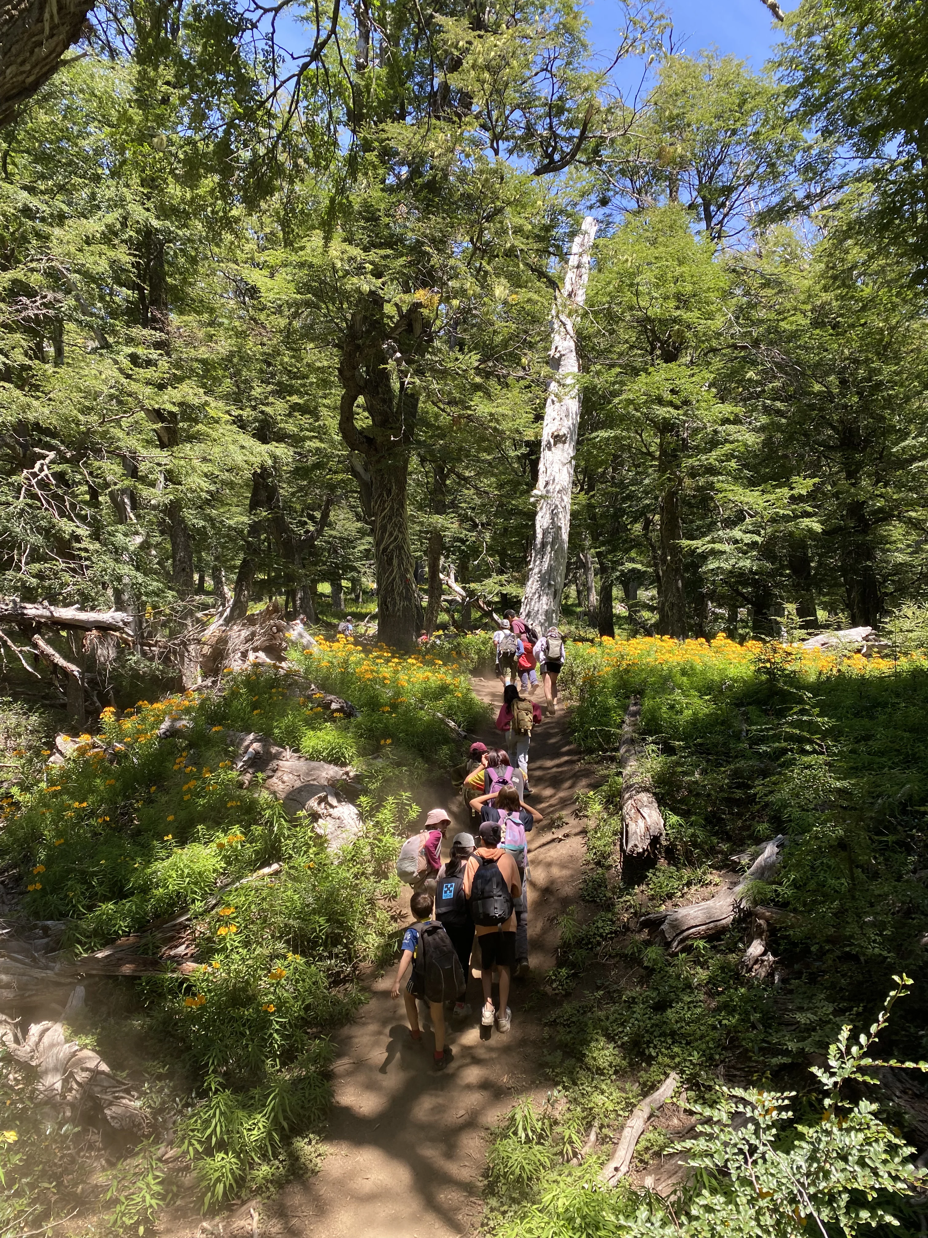 Cumbre Nevada