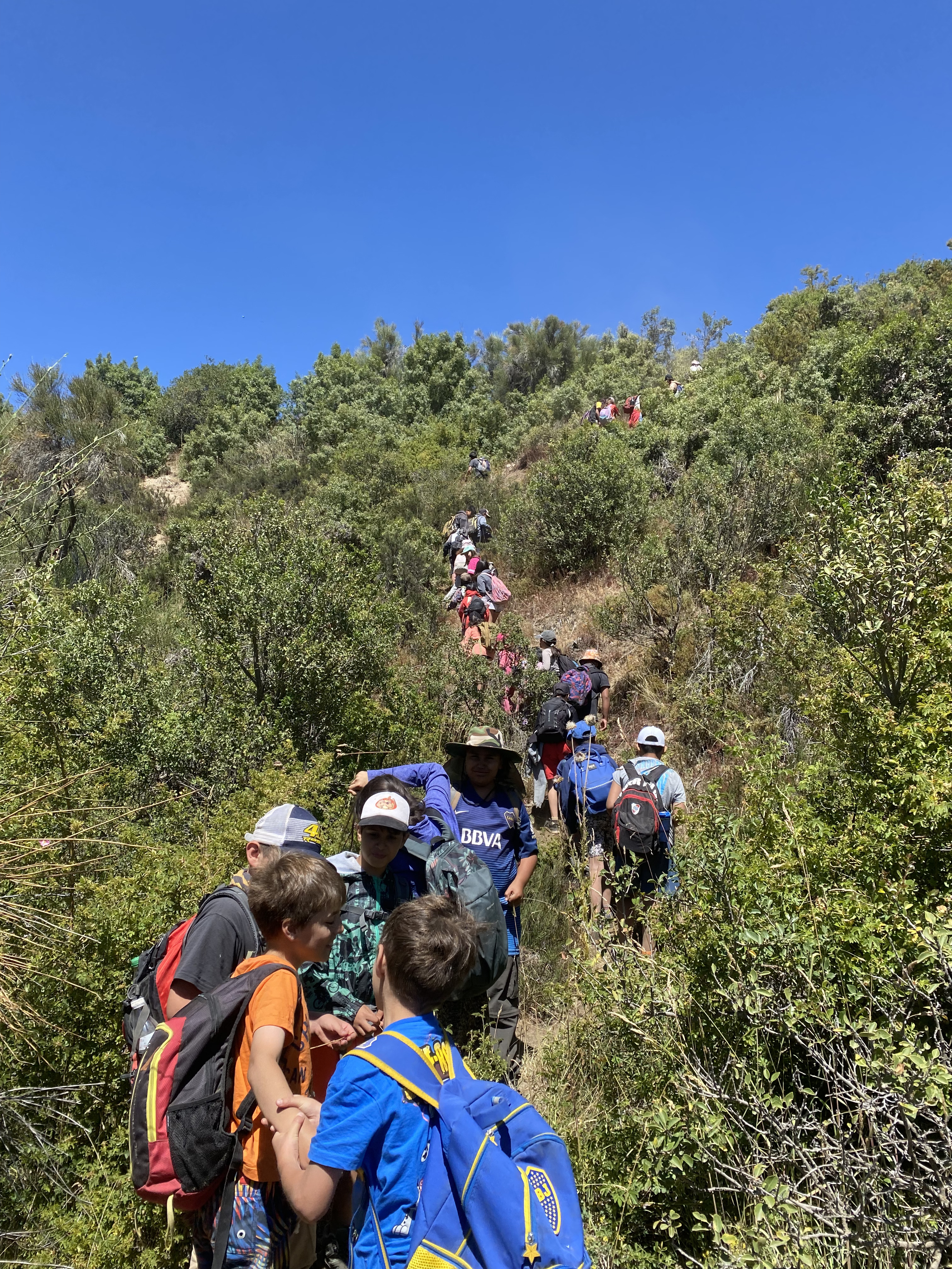 Cerro Llao Llao - Playa Tacul